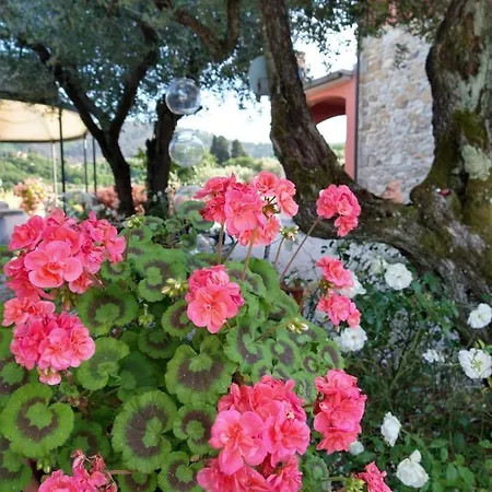 Olivia And Bed & Breakfast Cantagrillo