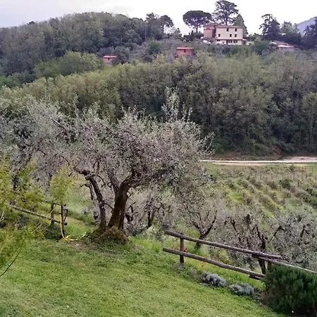 Olivia And Panzió