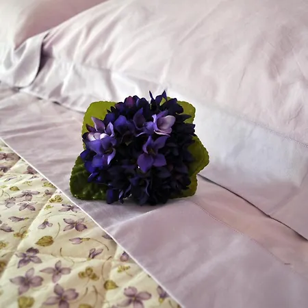 Bed & Breakfast Olivia B&B And Apartment 3*