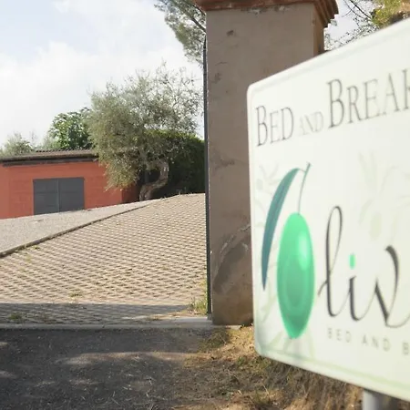 Olivia B&B And Apartment Bed & Breakfast Cantagrillo