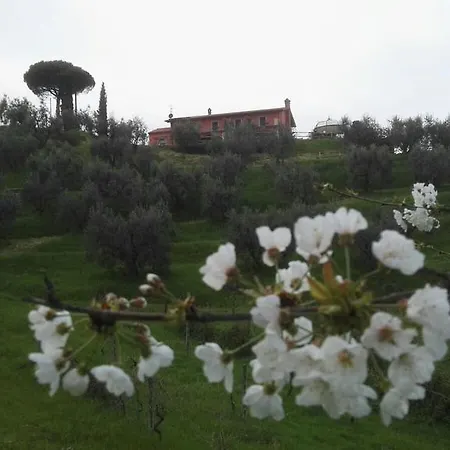 Olivia B&B And Apartment Cantagrillo